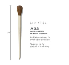 Ariel’s Cheek Essentials
